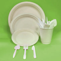 Disposable Plates, cup and cutlery dinner set for 1 person